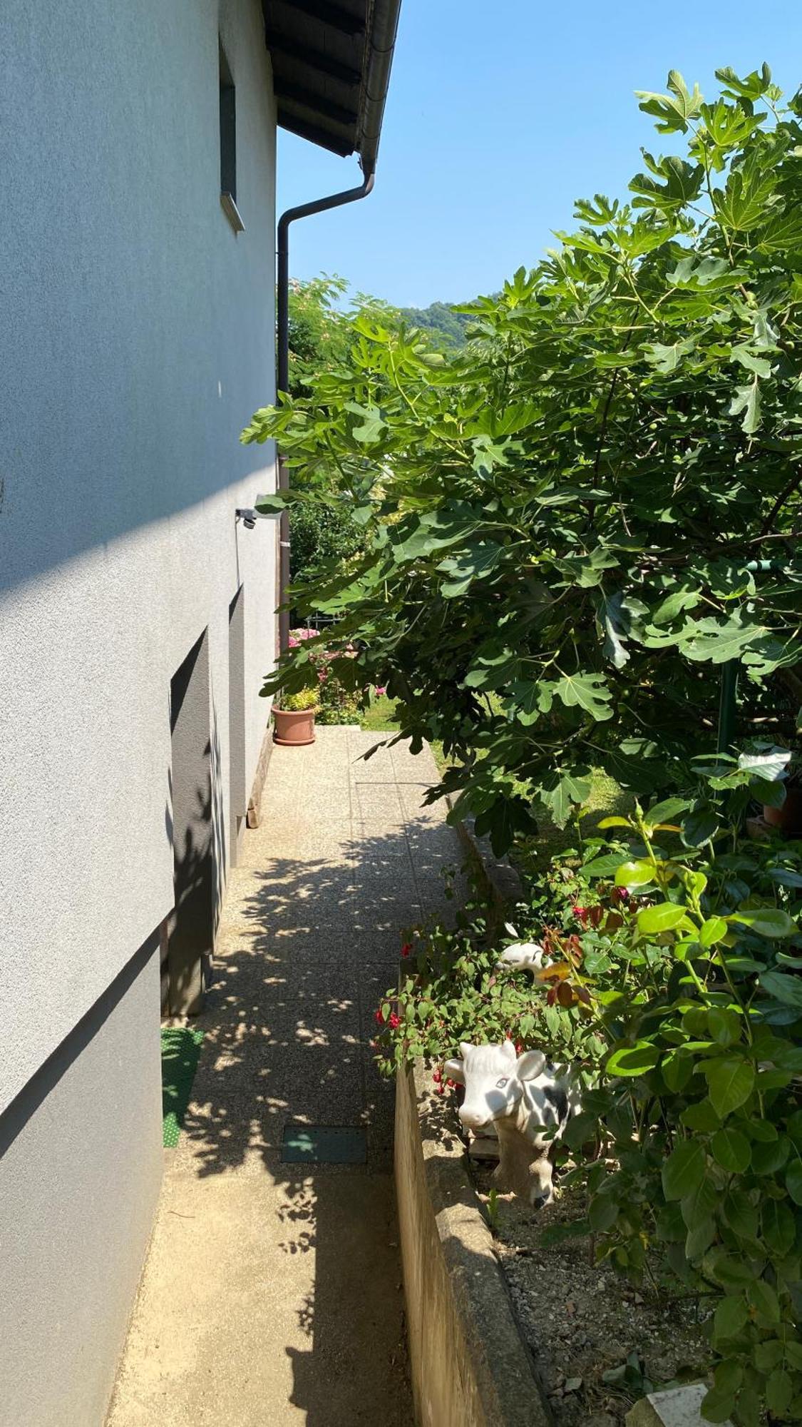 Ferienwohnung Semper Liberi Marburg Exterior foto
